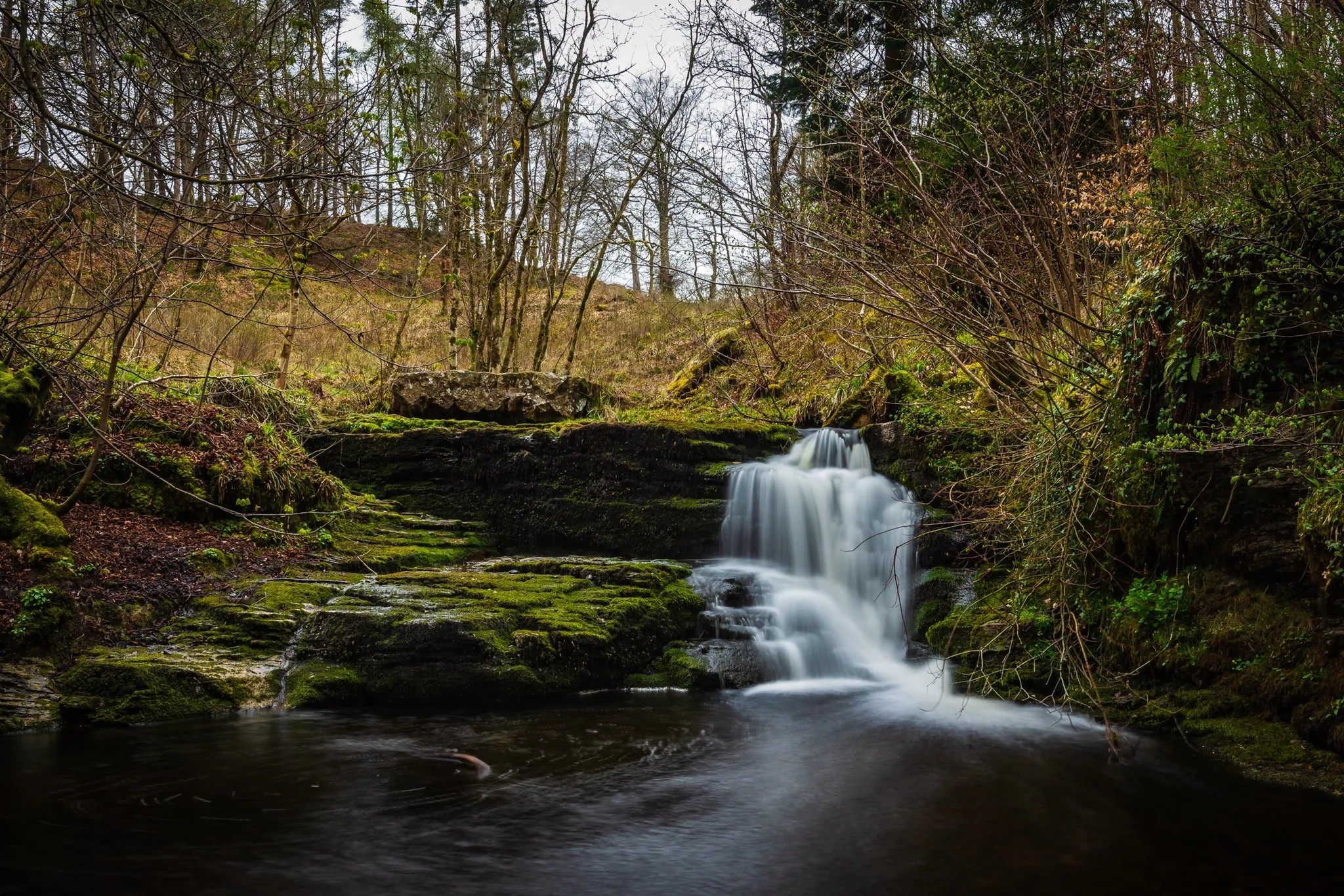 Peggy's Pool