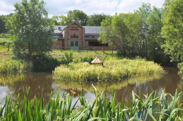 Whitmuir Farm